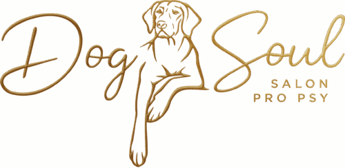 Dog Soul